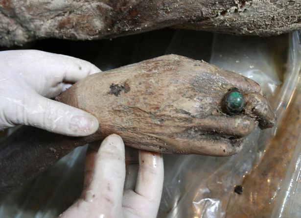 A perfectly preserved 700-year-old mummy in brown liquid looked only a few months old