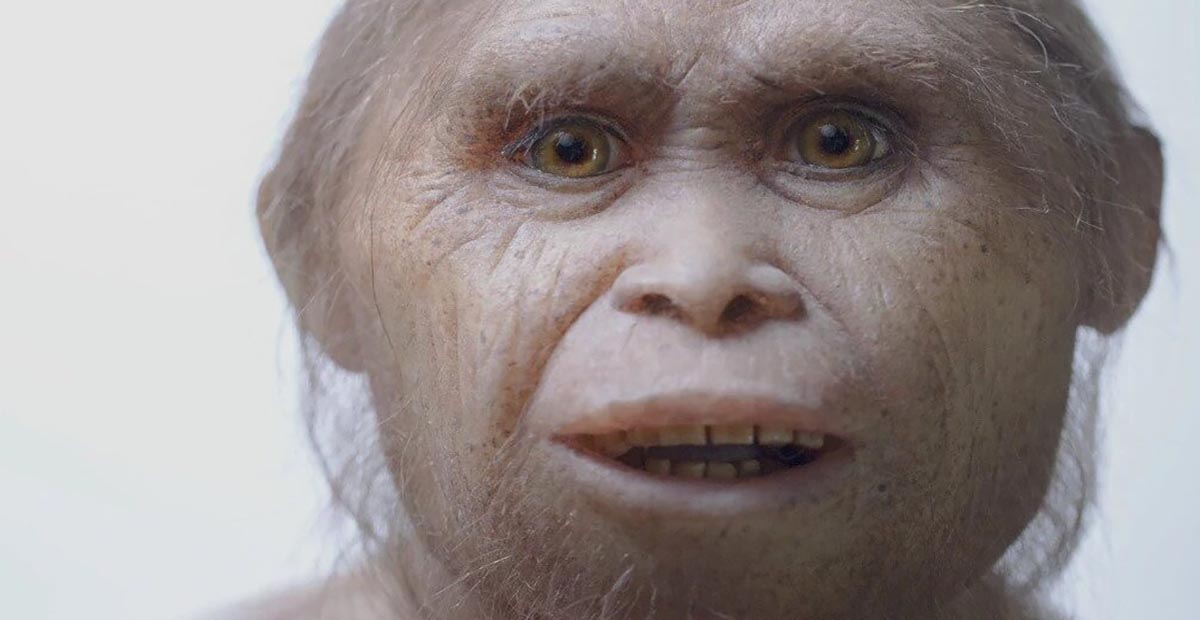 'Hobbit' Like Human Ancestor in Indonesia