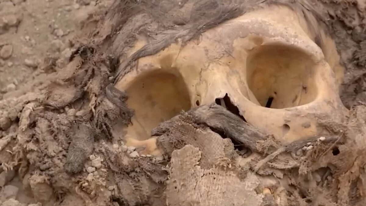 Archaeologists Discover a 3,000-Year-Old Mummy Under 15,000 Pounds of Garbage