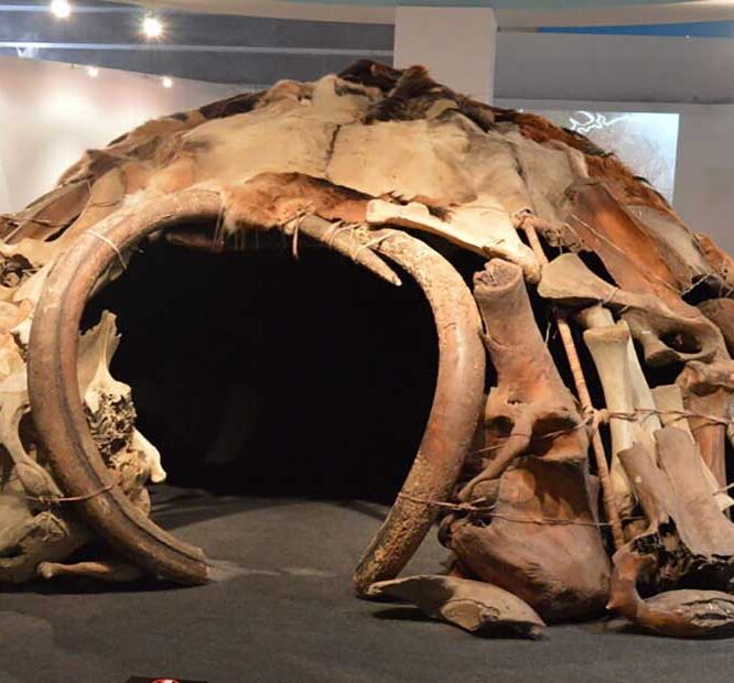 A Mysterious 25,000-Year-Old Hut Built Out of Mammoth Bones