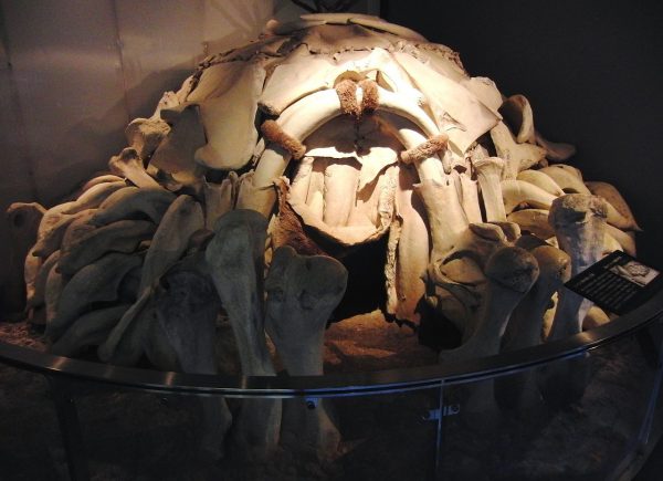 Hut Built Out of Mammoth Bones