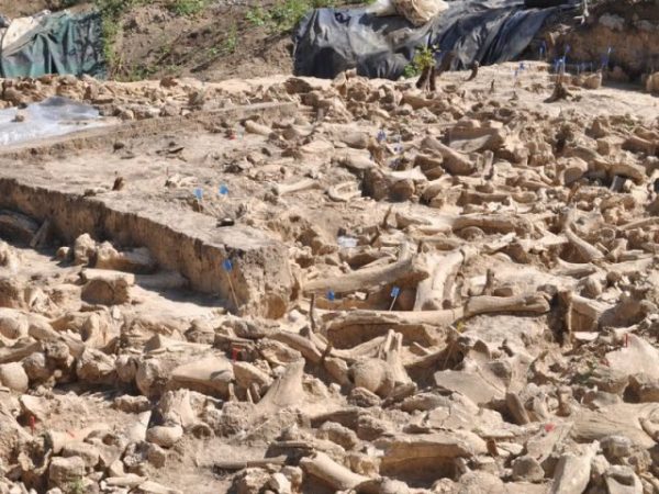 Hut Built Out of Mammoth Bones