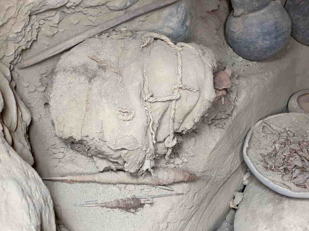 Remains of Sacrificed Adults and Kids Unearthed in Peru