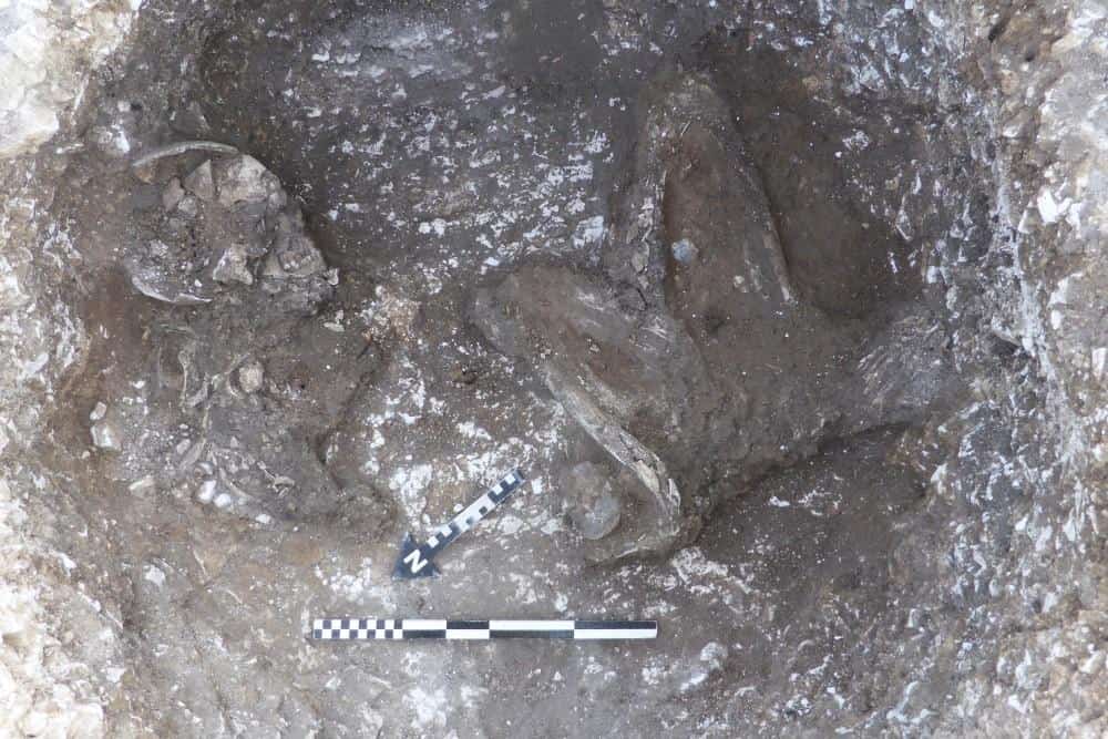Archaeologists Unearth 2000-Year-Old Human Remains and Animal ...