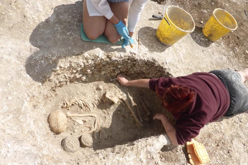 Old Human Remains and Animal Sacrifices in Dorset