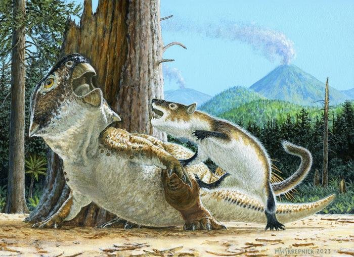 Fossil Shows Small Mammal Attacking Larger Dinosaur
