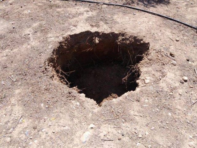  Minoan Tomb Hidden Under Olive Grove