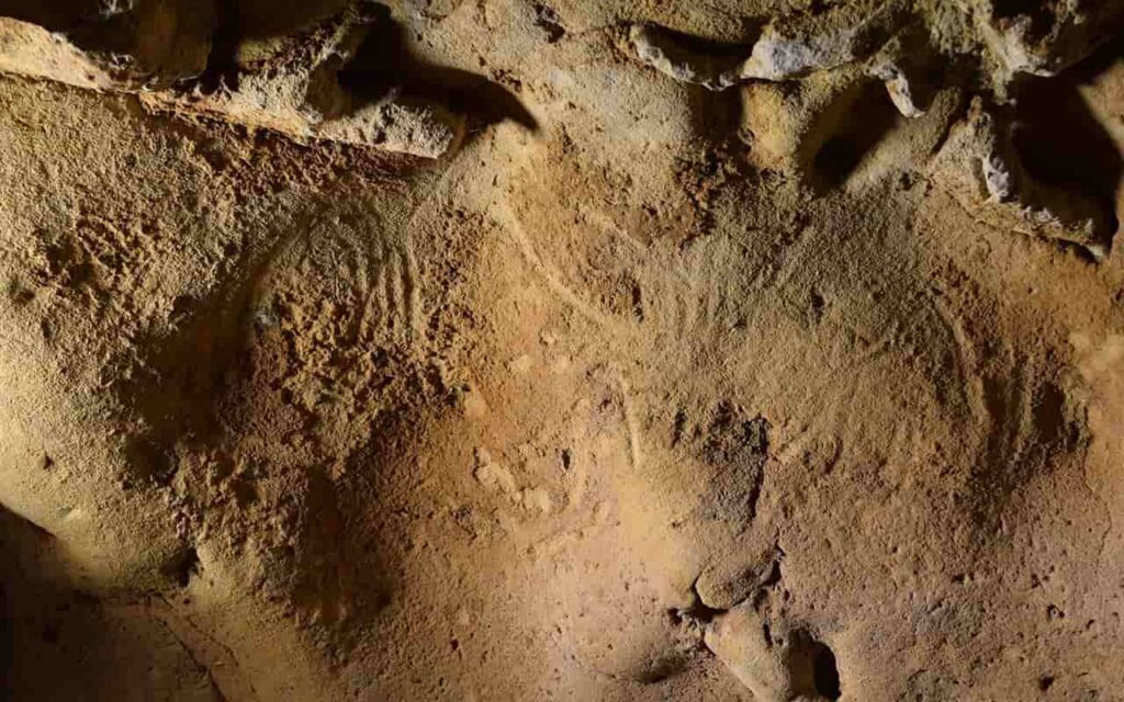 Neanderthal Engravings Uncovered in a French Cave