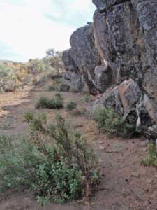 Relics Discovered In Oregon