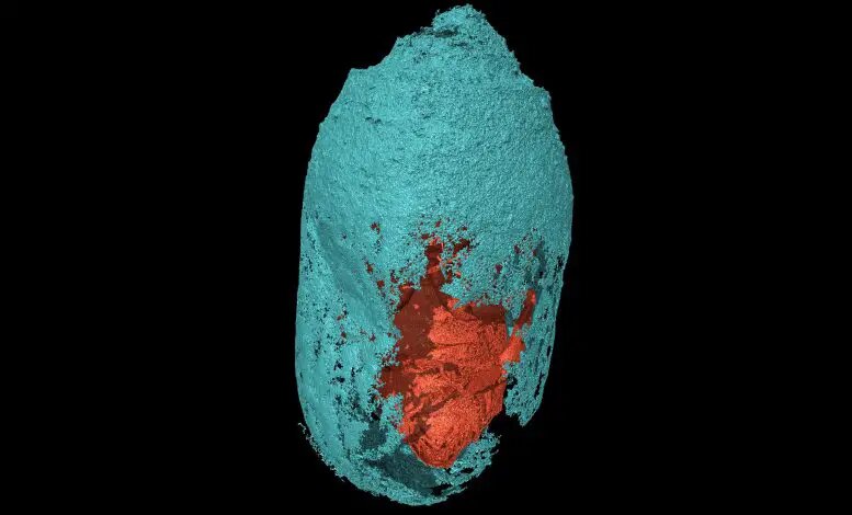 Scientists Discover Hundreds of Mummified Bees