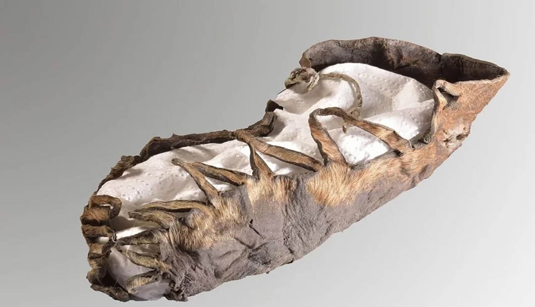 Children’s Shoe Unearthed in Austrian Iron Age Site
