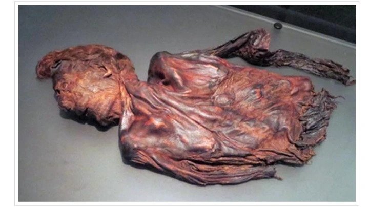 Clonycavan Man: Unraveling the 2,300-year-old Murder Mystery