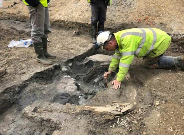 Neanderthal Hand Axe Results in Steppe Mammoth Graveyard