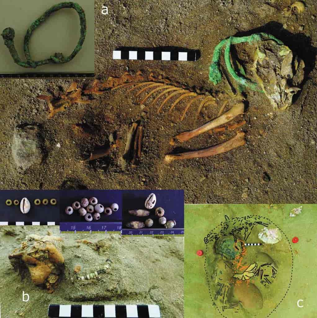 World’s Oldest Pet Cemetery Unearthed in Ancient Egypt