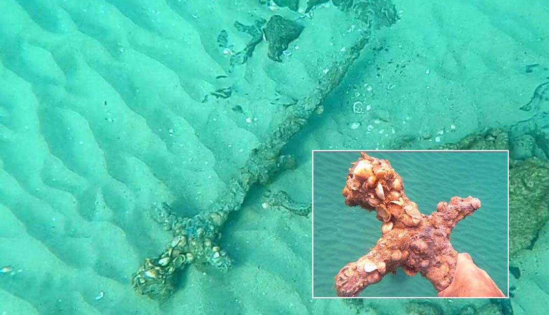 900-Year-Old Crusader Sword Discovered by Diver Off the Coast of Israel