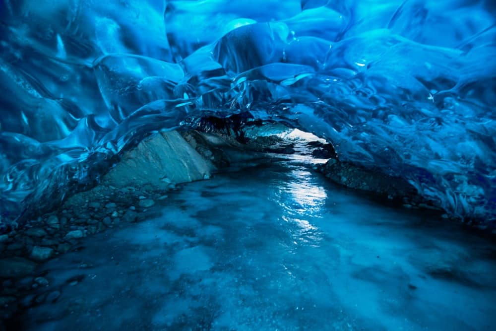 This Gorgeous Ice Cavern Reveals an Ancient Forest Underneath Mendenhall Glacier - Archaeology Worlds