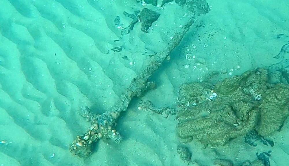 900-Year-Old Crusader Sword Discovered by Diver Off the Coast of Israel