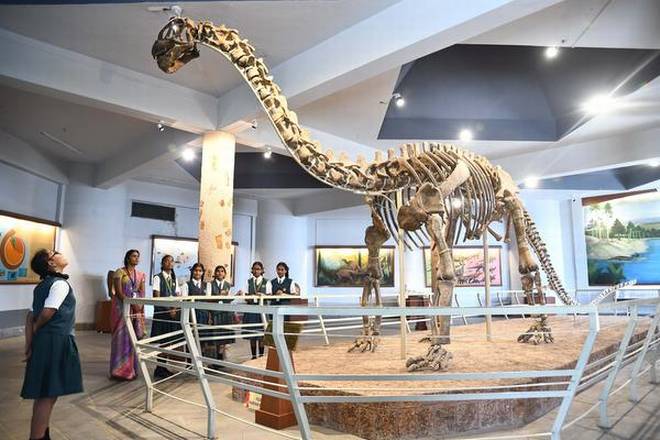 GSI Scientists Stumble Upon 100-million-year-old Dinosaur Bones in India