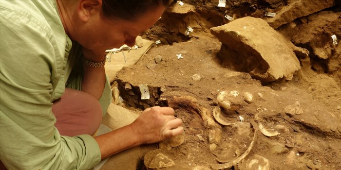 Ancient Shells: The Evolution of Personal Identity Over 100,000 Years Ago