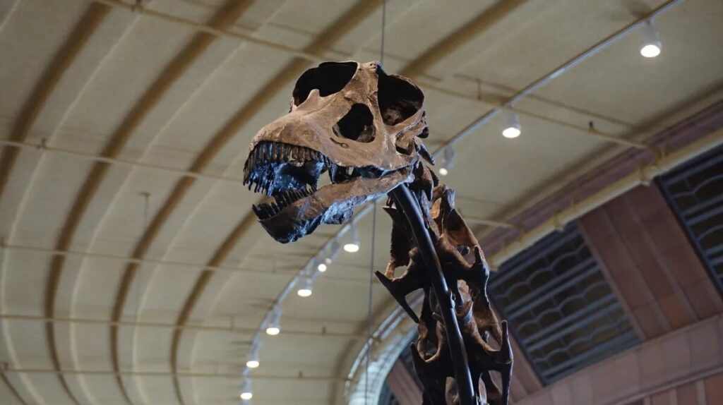 GSI Scientists Stumble Upon 100-million-year-old Dinosaur Bones in India