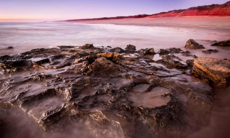 Newly Discovered Human-Sized Dinosaur Footprint Is The Largest Ever Found