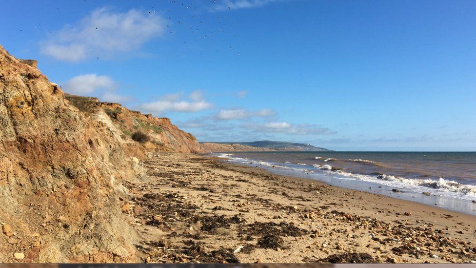 Dinosaur Fossils Were Found Off The Coast Of England