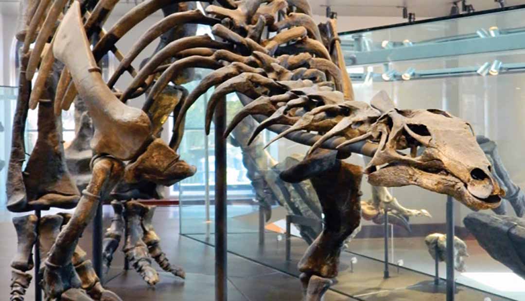 Dinosaur Fossils Were Found Off The Coast Of England