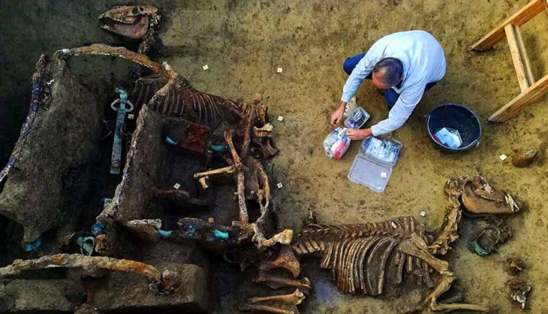 Roman Chariot With Horses Found Buried in Croatia