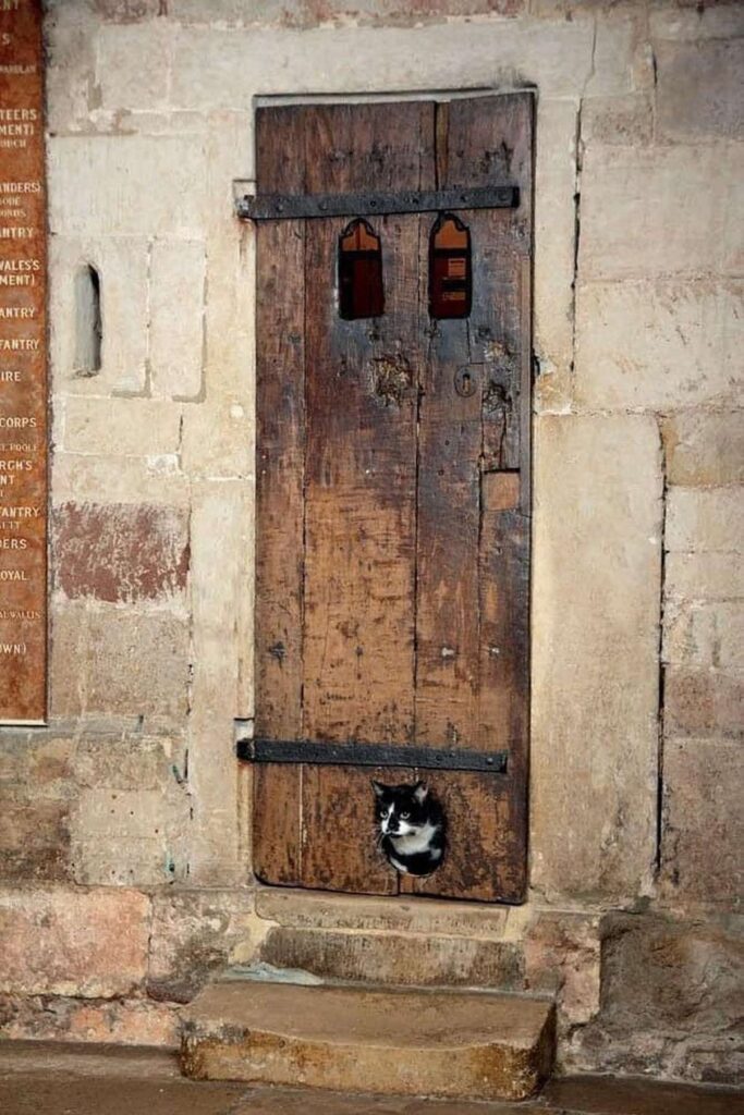 Cat Flap in Exeter Cathedral Door 