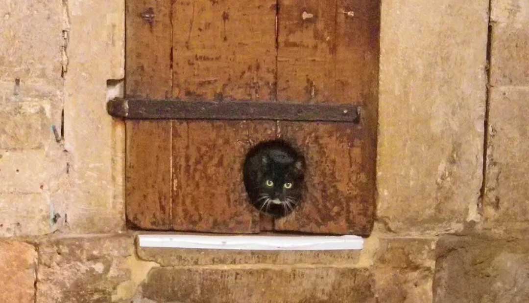 Exeter Cathedral Door is Thought to Be The World's Oldest