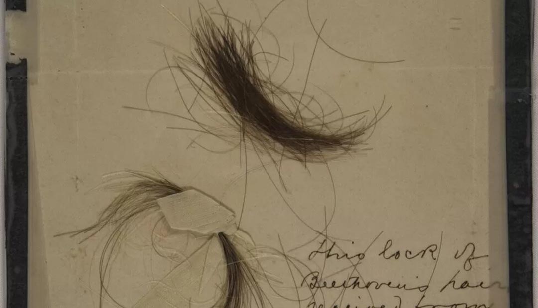 Beethoven’s Health With Hair Samples