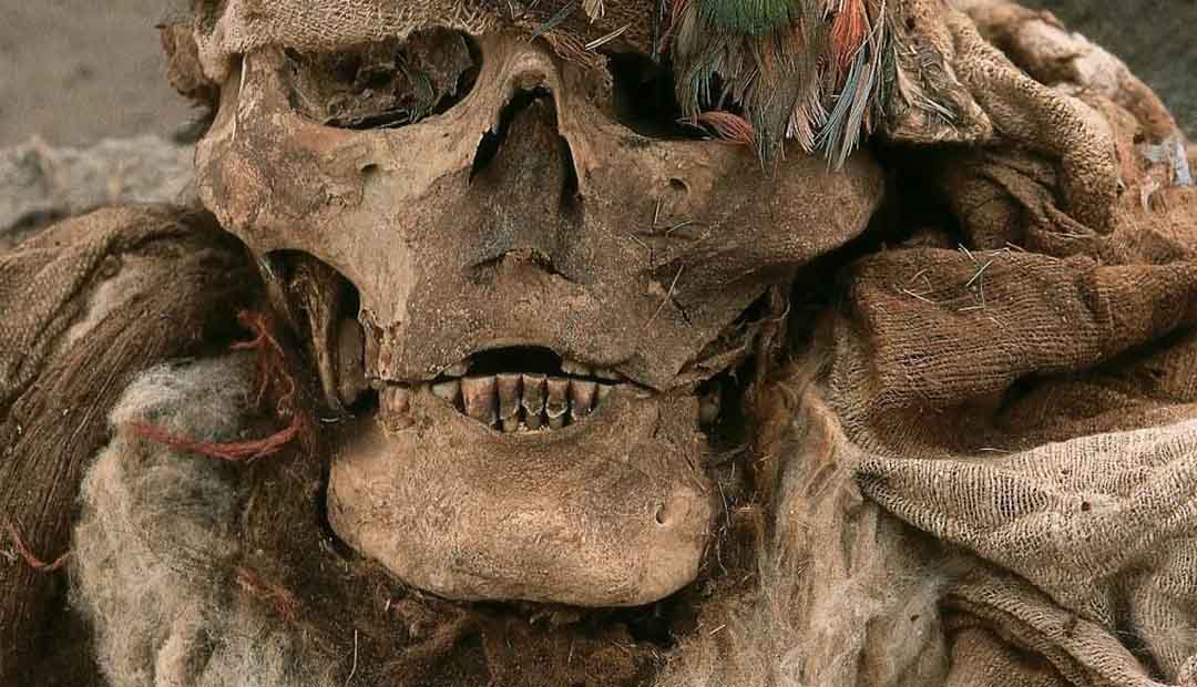 Incan Mummy in Peru's Puruchuco Cemetery