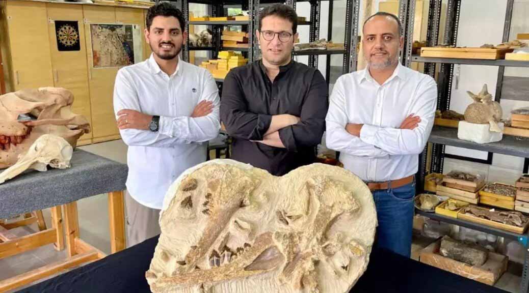 Tutcetus rayanensis: 41-Million-Year-Old Whale Fossil in Egypt