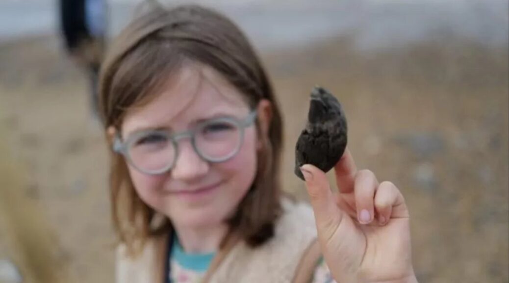 London Girl Discovers 700,000-Year-Old Bear Tooth on Norfolk Beach