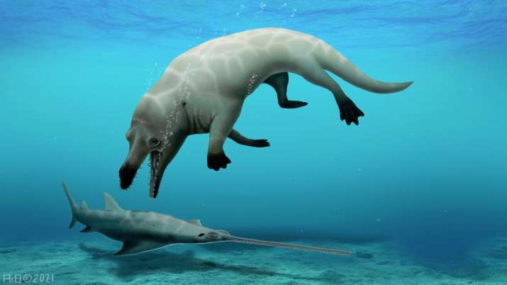 43 Million-Year-Old Fossil of a Four-Legged Whale