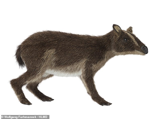 48-Million-Year-Old Horse-Like Creature That Mimicked a Badger