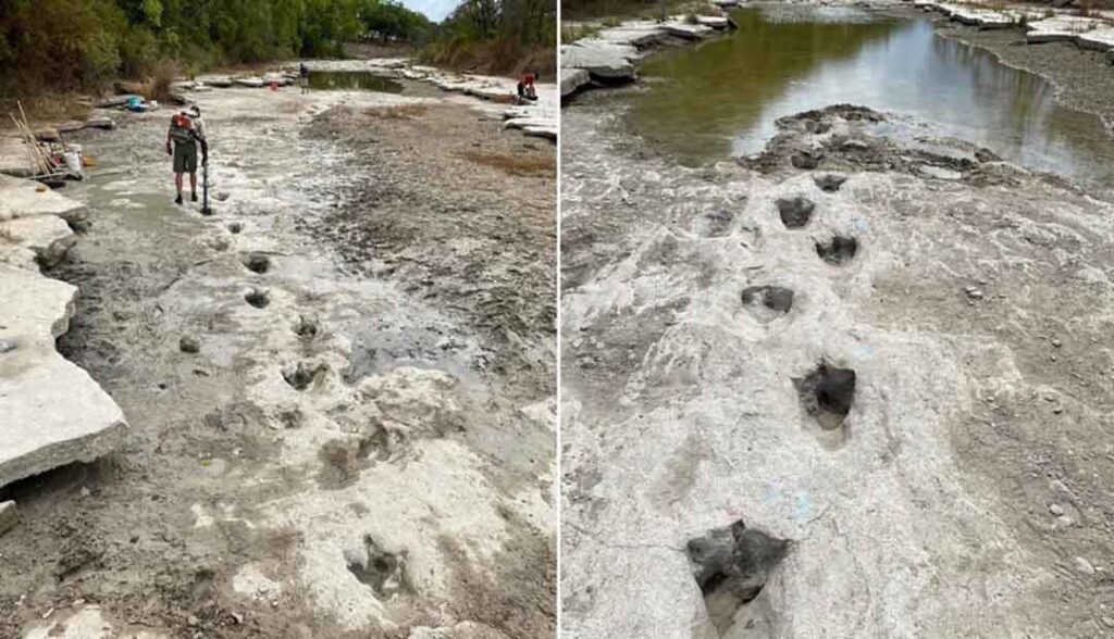 Dinosaur Tracks Unearthed In Texas As Severe Drought Dries Up The River