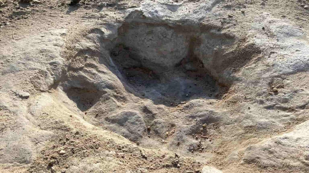 Dinosaur Tracks Unearthed In Texas As Severe Drought Dries Up The River