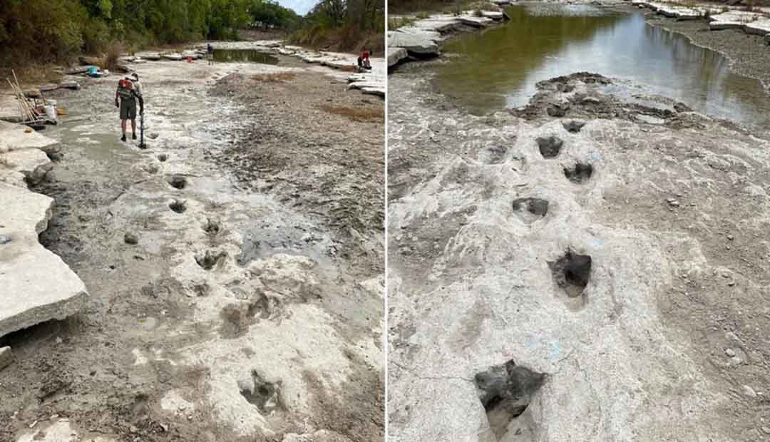 Dinosaur Tracks Unearthed In Texas