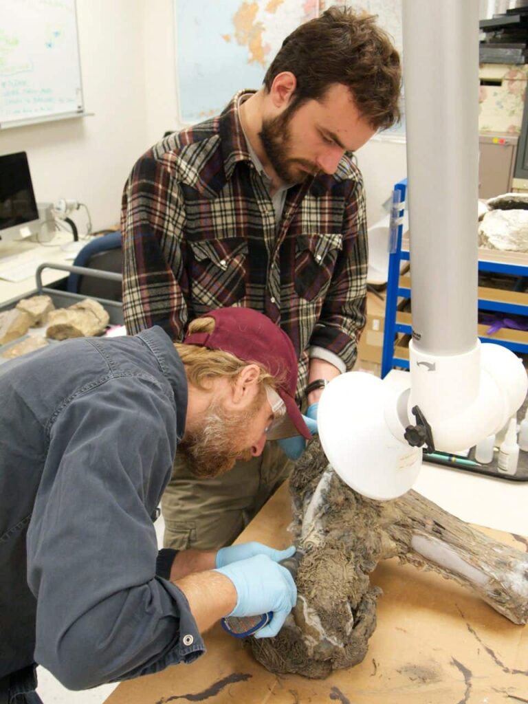  Mummified Bison was used for a Stew