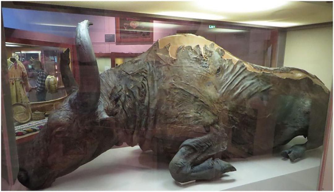 Meat of a Mummified Bison was used for a Stew