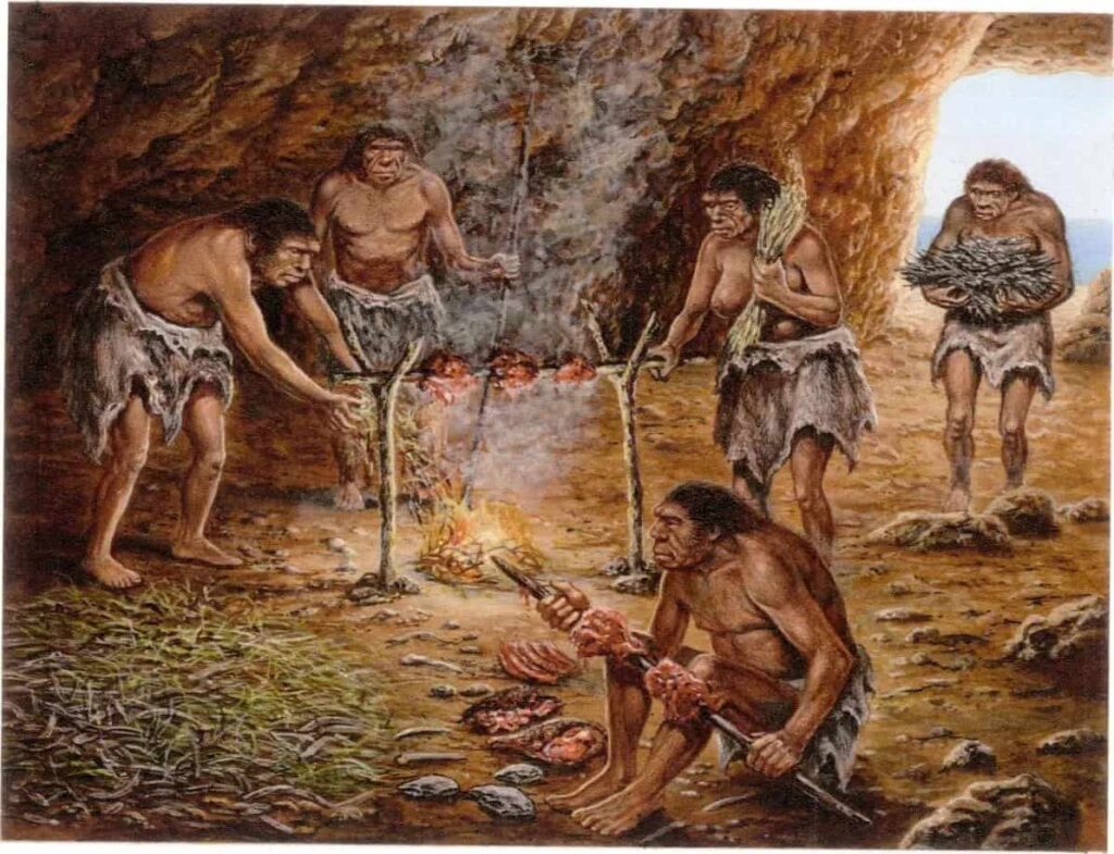 Early Humans Placed the Hearth at the Optimal Location