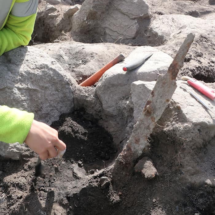Discovery Of Two Viking Swords In Upright Position In Sweden