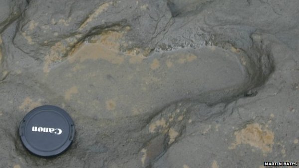 Ancient human footprints
Happisburgh