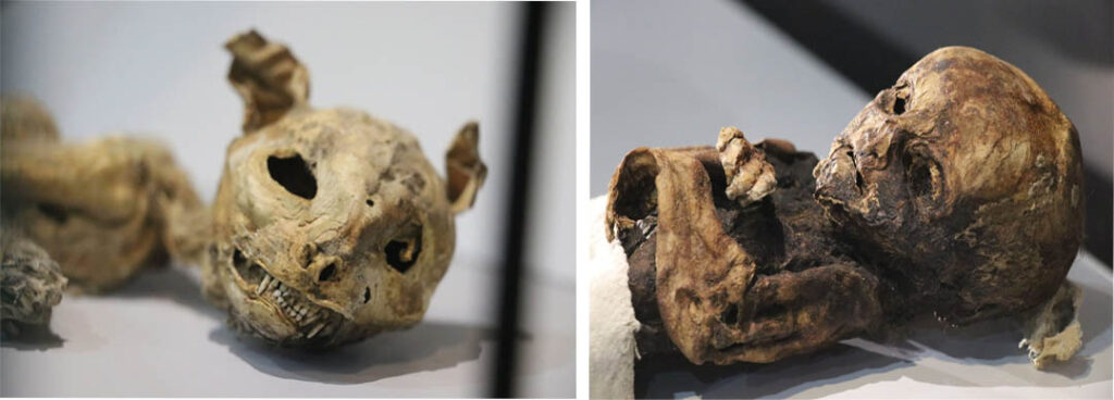 Cats and Babies: Ancient Mummies Unearthed in Aksaray, Turkey