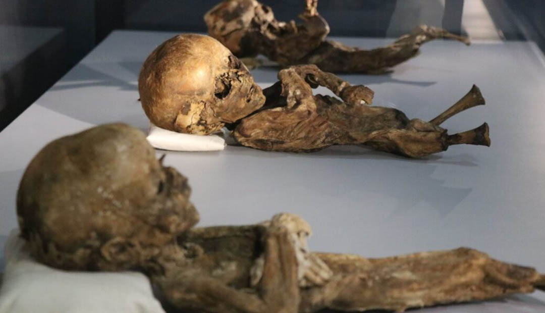 Cats and Babies: Ancient Mummies Unearthed in Aksaray, Turkey