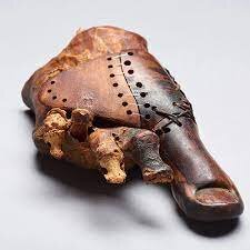 Old Wooden Toe Shows Early Artistry of Prosthetics