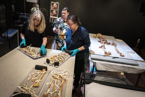 DNA Analysis Reunites Viking Relatives in Denmark After 1,000 Years