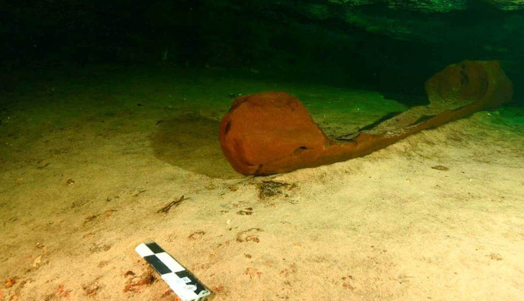 1000-Year-Old Maya Canoe Found in Yucatan Cenote
