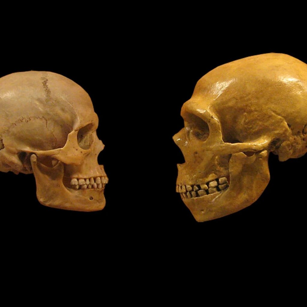The Mysterious Lapedo Child: Neanderthal-Human Hybrid Discovery